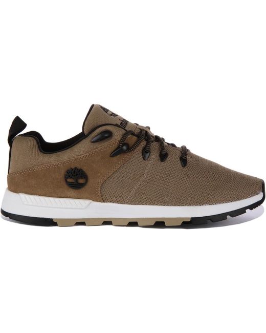 Timberland Brown Laced Shoes for men