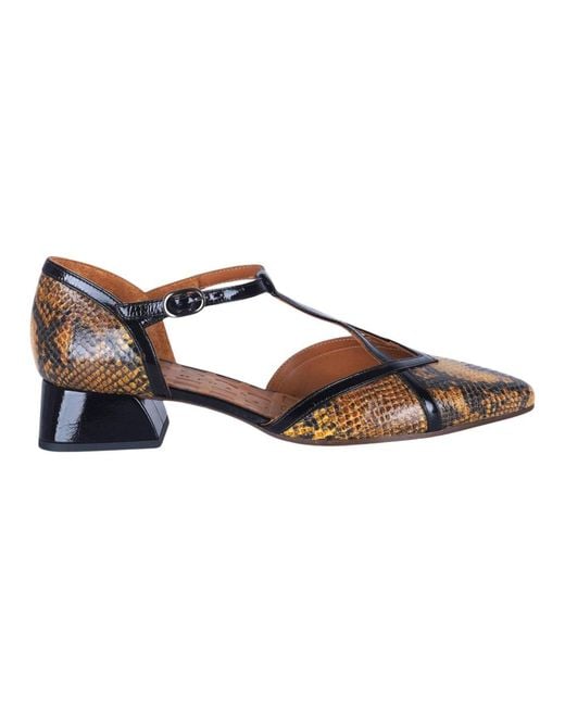 Chie Mihara Pumps in het Brown