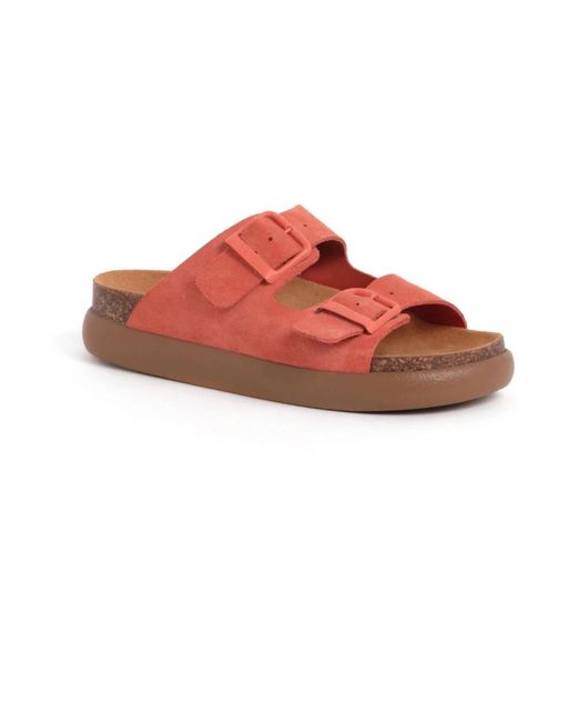 Scholl Chunky Suède Slipper Met Verstelbare Gesp in het Red