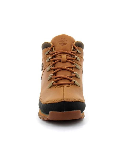 Timberland Brown Sneakers for men