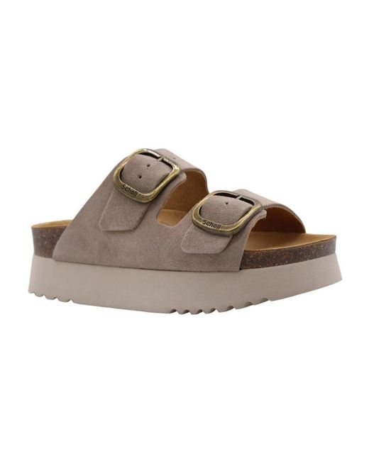 Sliders di Scholl in Brown