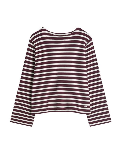 Cinque Tops ,Zwart ,Katoen Citaja Shirt in het Purple voor heren
