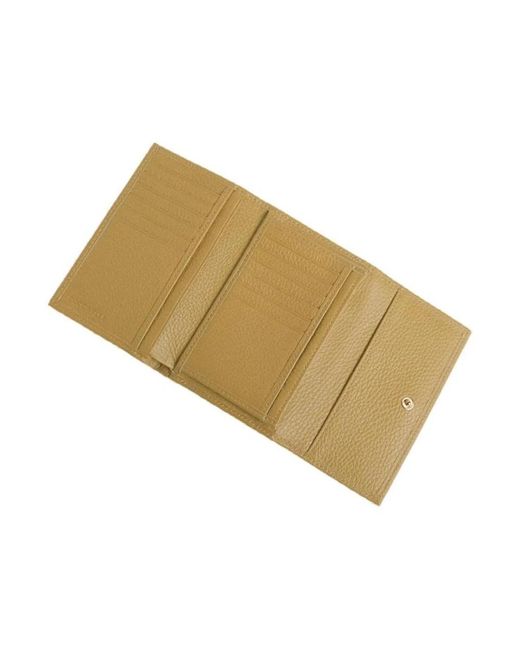 Wallets & Cardholders di Coccinelle in Green