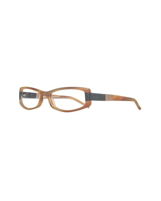 Rodenstock Brown Glasses