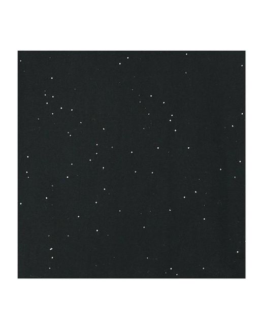 Faliero Sarti Black Winter Scarves