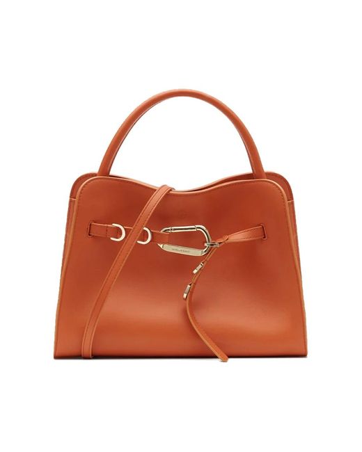 Francesco Biasia Brown Handbags