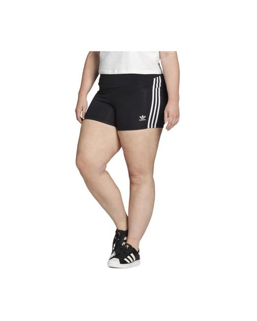 Adidas Adicolor Classics Shorts in het Blue