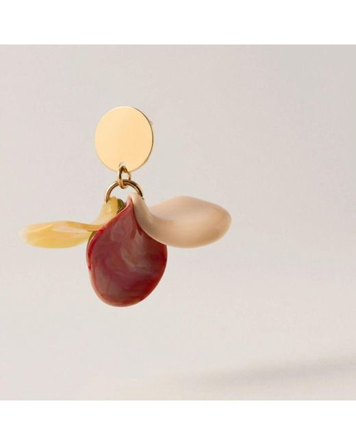 Earrings Malababa de color Brown