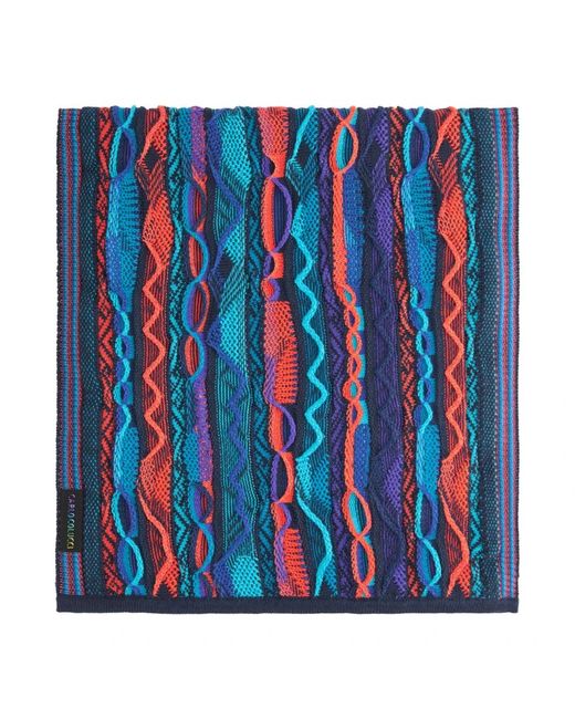 carlo colucci Blue Winter Scarves for men