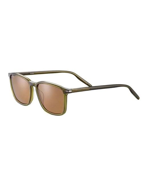 Serengeti Brown Sunglasses for men