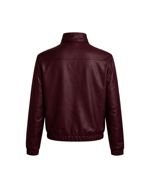 Franzese Collection David Beckham Jacket in het Purple voor heren