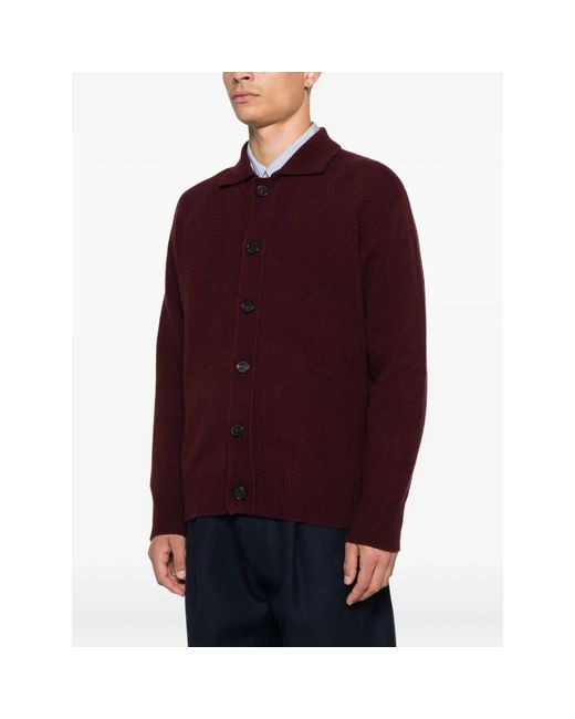 Amaranto Purple Cardigans for men
