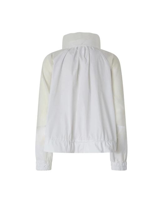 Pinko Sweater in het Gray