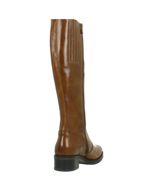 Nero Giardini Brown High boots