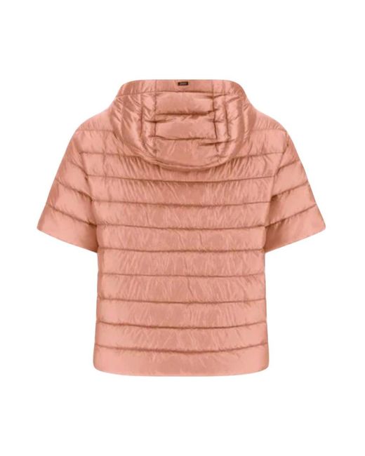 Winter Jackets Herno de color Pink