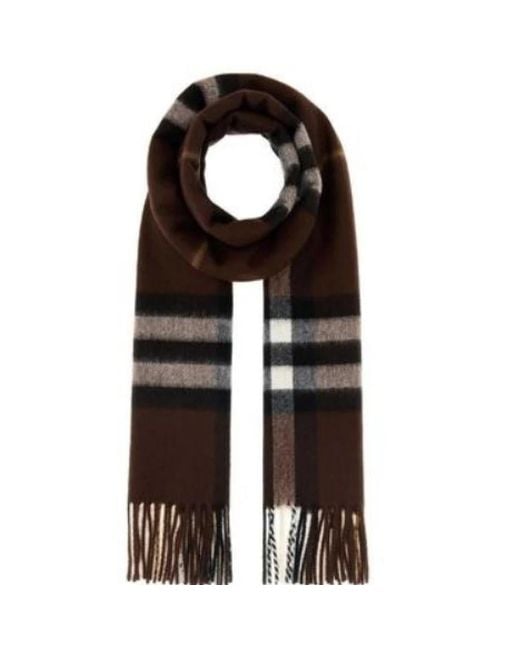 Burberry Brown Winter Scarves