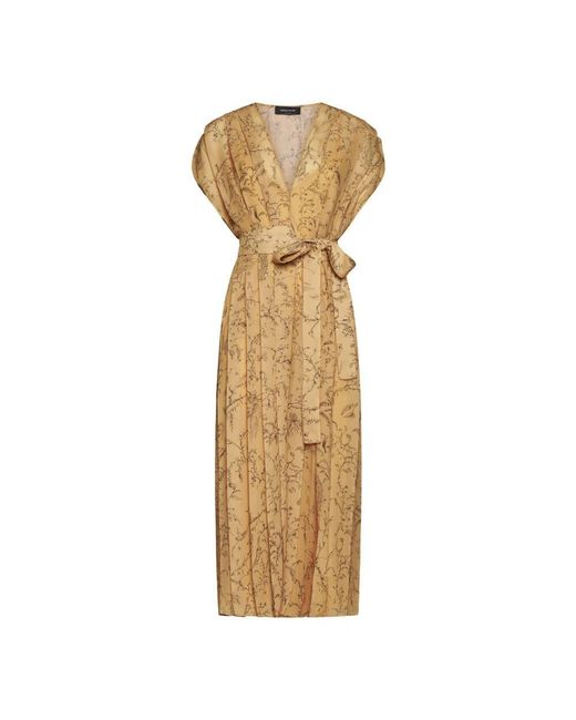 Fabiana Filippi Metallic Georgette allover-print plissierte kleid