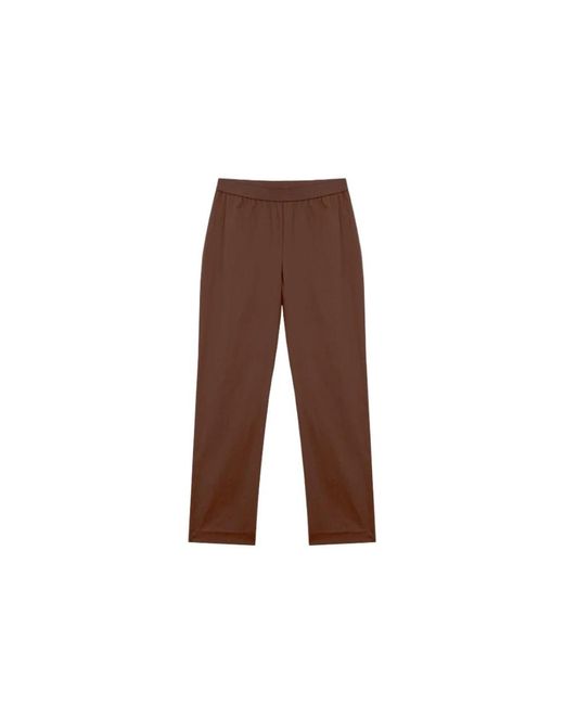Straight Trousers Alpha Studio de color Brown