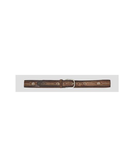 Orciani Brown Belts for men