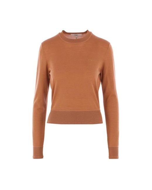 Chloé Brown Seiden & Nylon Pullover