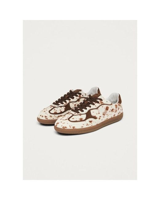 Alohas Multicolor Sneakers