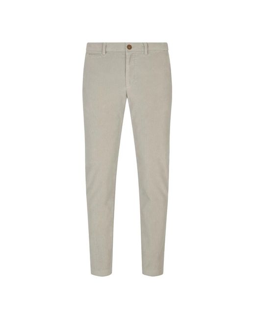 BRIGLIA Gray Chinos for men