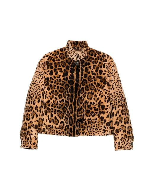 Light Jackets Max Mara de color Brown