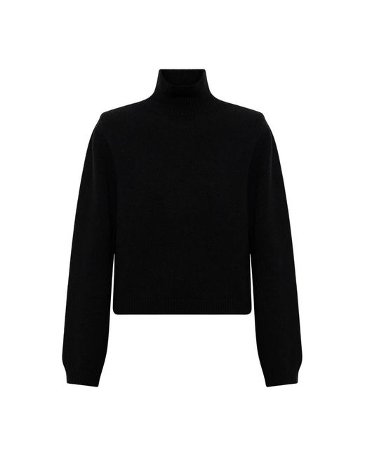 Turtlenecks Rohe en coloris Black