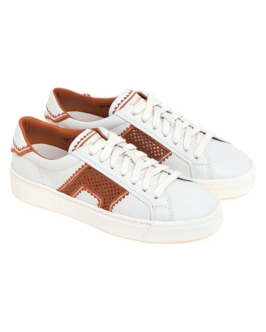 Santoni Brown Sneakers