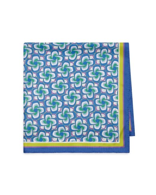 Maliparmi Blue Silky Scarves