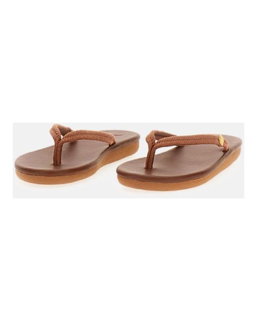 Ancient Greek Sandals Brown Flip Flops