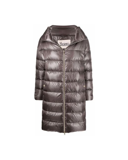 Herno Jackets > Down Jackets in het Gray