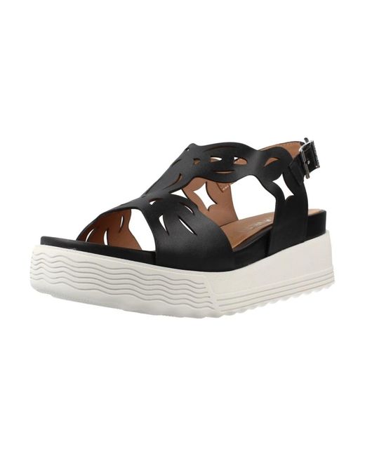 Stonefly Black Parky 27