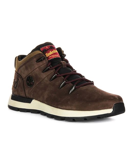 Timberland Brown Lace-Up Boots for men
