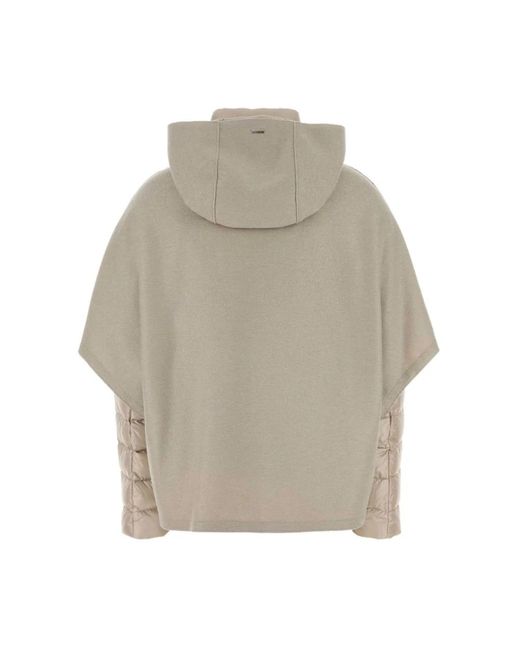 Herno Winter Jackets in het Gray