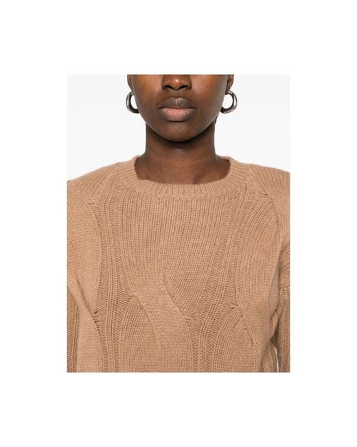 Kujten Brown Cashmere Knitwear