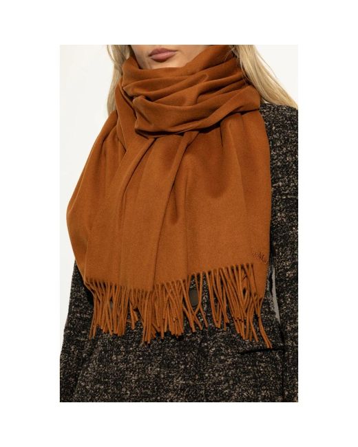 Max Mara Brown Winter Scarves
