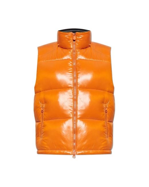 Save The Duck Isolierte Jacke Ailantus in Orange für Herren