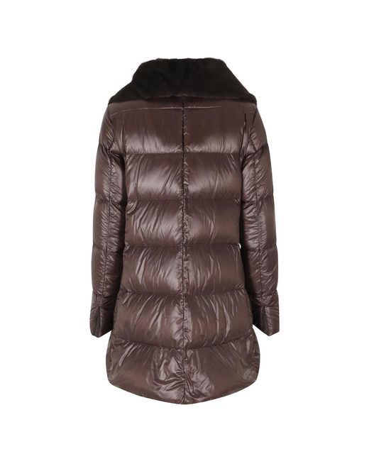 Winter Jackets di Herno in Brown