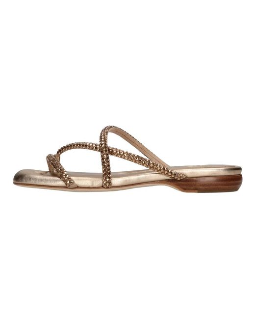 Sliders Ash en coloris Brown