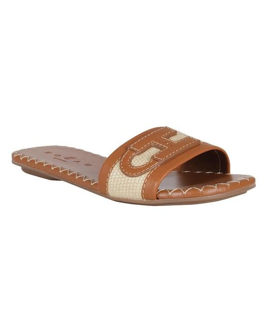 Hogan Brown Sliders