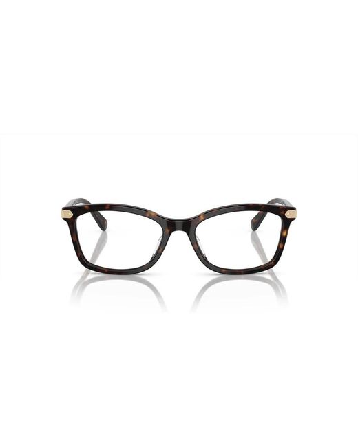 COACH Brown Glasses