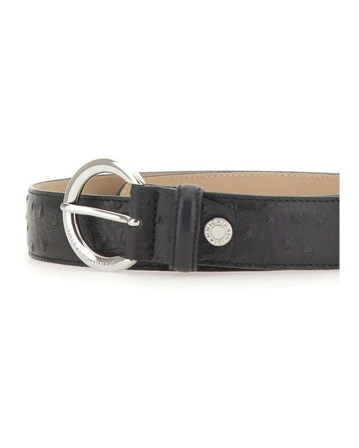 Gianni Chiarini Black Belts