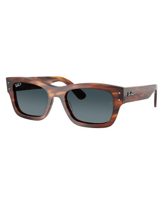 Ray-Ban Brown Sunglasses