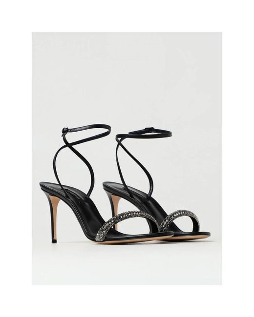 Casadei Decollt in het Black