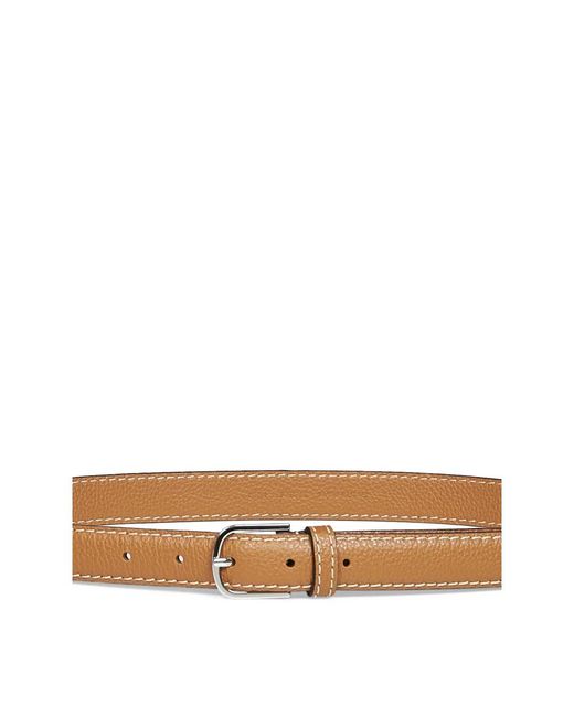 Totême  Brown Belts
