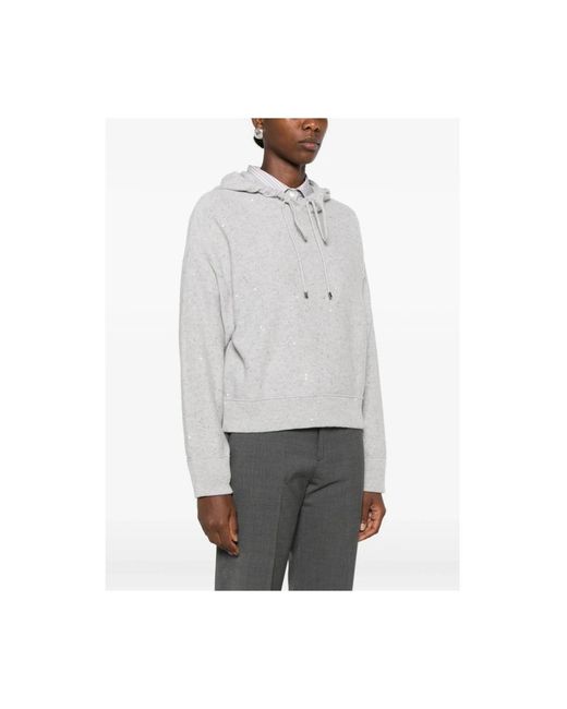 Antonelli Gray Hoodies