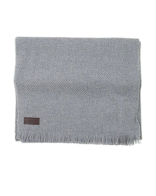Canali Gray Winter Scarves for men