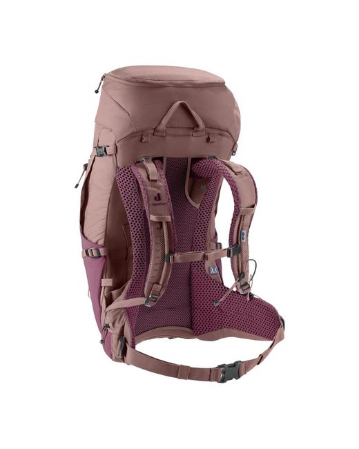 Backpacks di Deuter in Purple