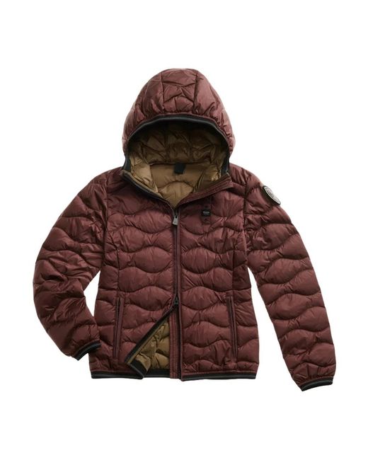 Winter Jackets Blauer en coloris Brown